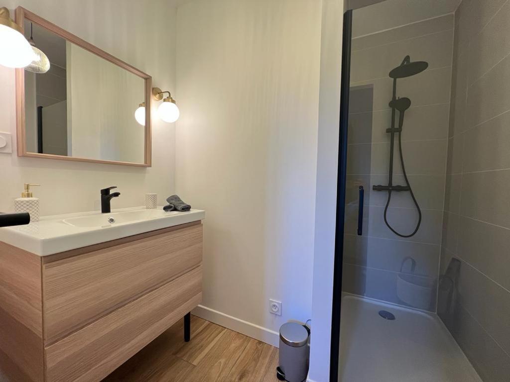 Appartement Coup De Coeur. St Etienne-Rochetaillee Saint-Etienne  Dış mekan fotoğraf