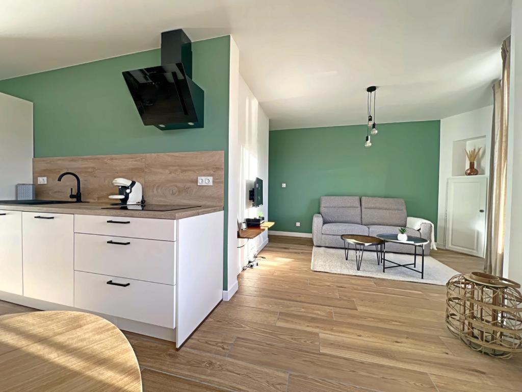 Appartement Coup De Coeur. St Etienne-Rochetaillee Saint-Etienne  Dış mekan fotoğraf