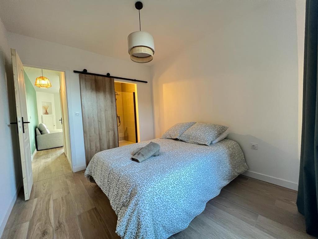 Appartement Coup De Coeur. St Etienne-Rochetaillee Saint-Etienne  Dış mekan fotoğraf